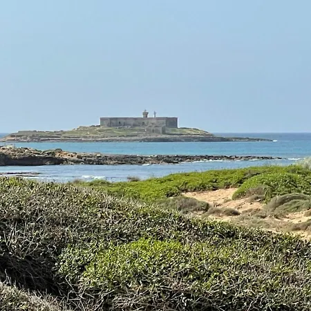 Loft Le Palme - - Holiday home