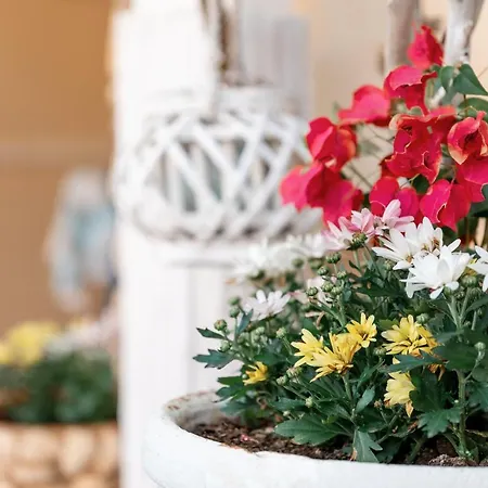 Сasa de vacaciones Loft Le Palme - - *